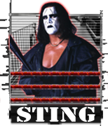 WCW Slamboree (May 19th, 2013) Sting