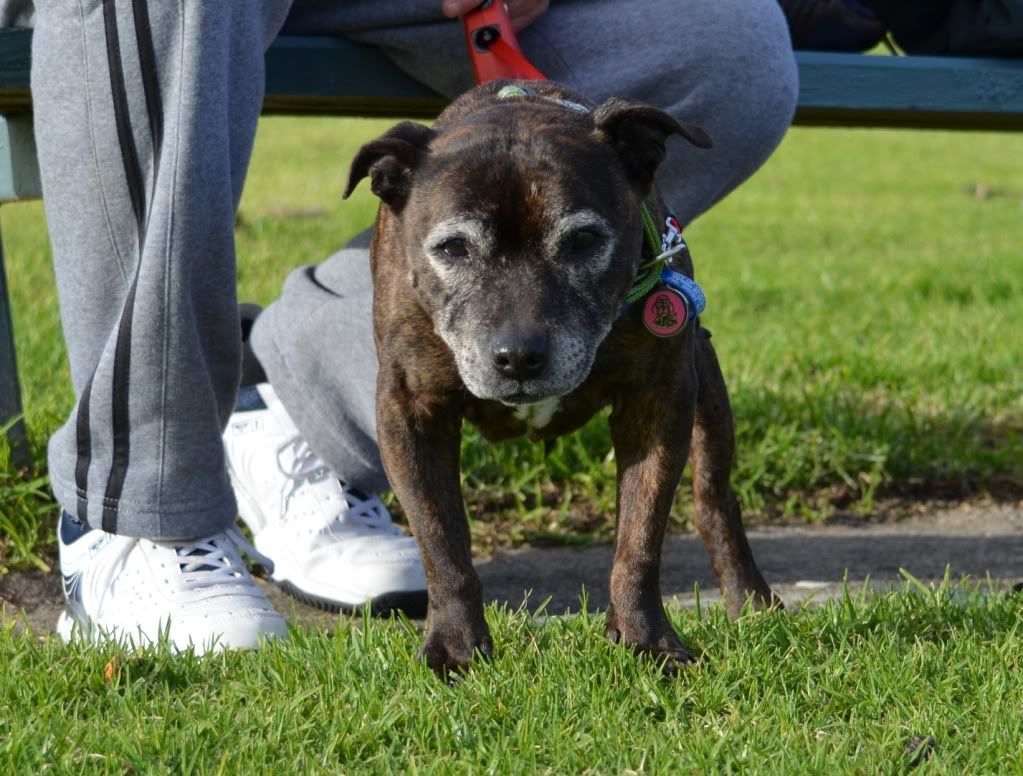 At the park today DSC_0145