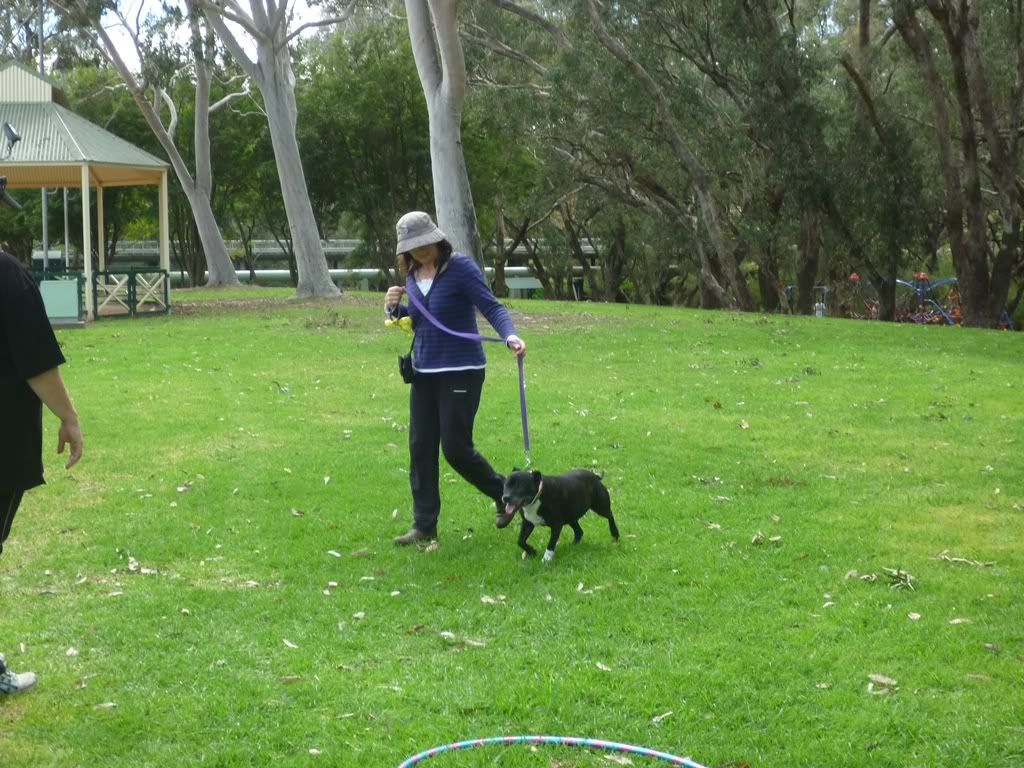 Last but not least of the Perth SBT "Fun Day" pics P1020277