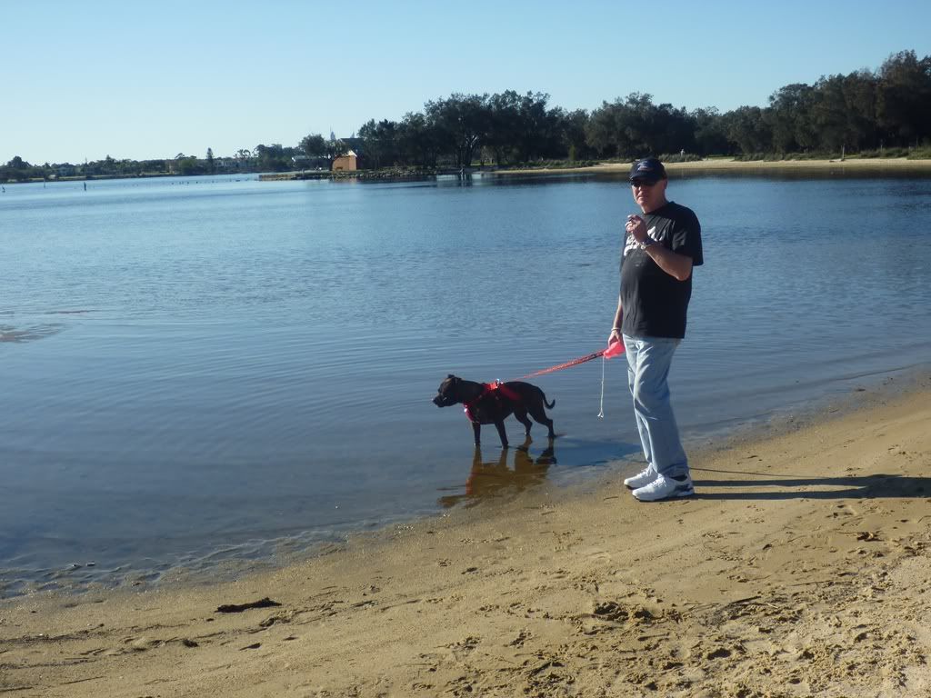 A quick walk along the foreshore P1020423