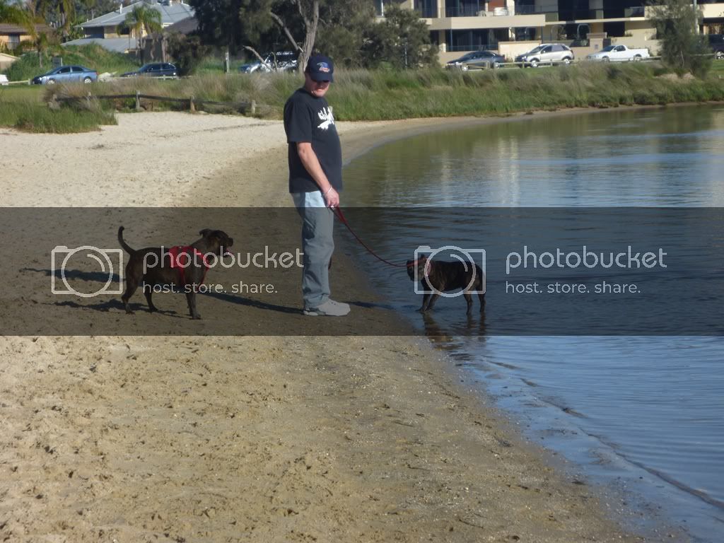 A quick walk along the foreshore P1020424