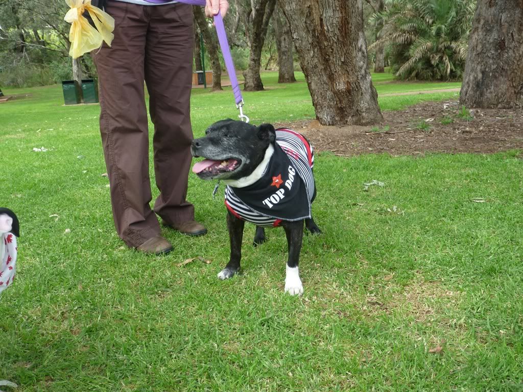 My favourite pics from the Perth SBT fun day today P1020489