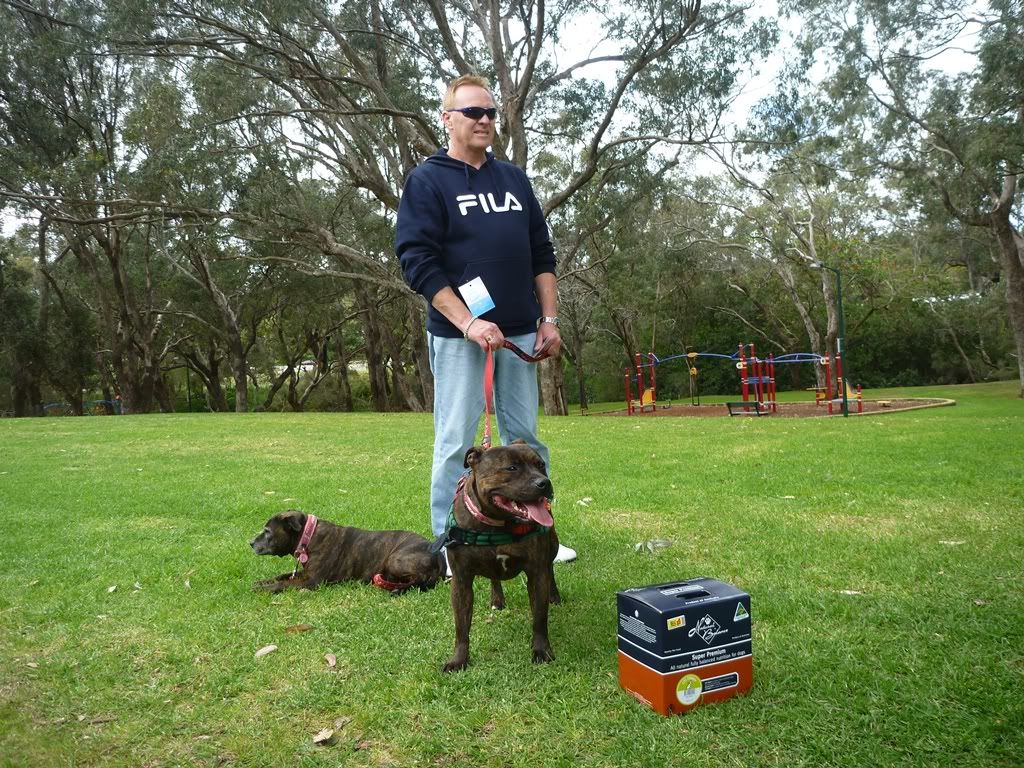 Perth Staffordshire Bull Terrier Assoc. Day ( Sept 2011 ) P1020496