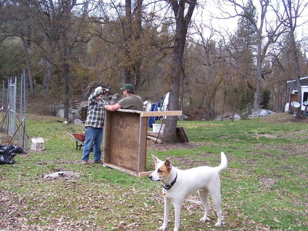 Friends left us 12 SQF beds! 100_2039