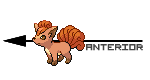 #038. Ninetales VulpixA