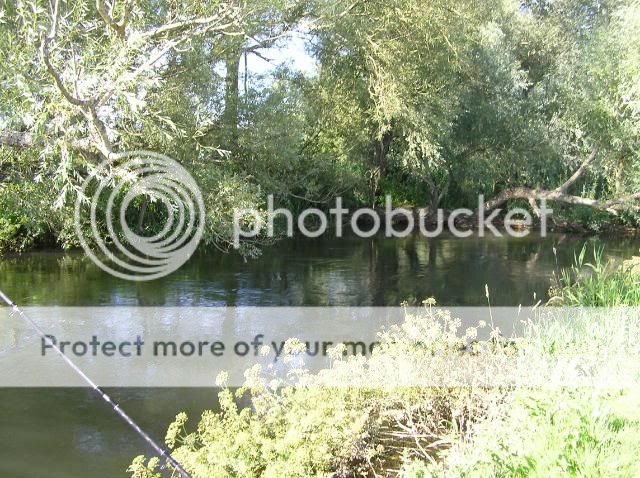 Amesbury Anglers P1050005