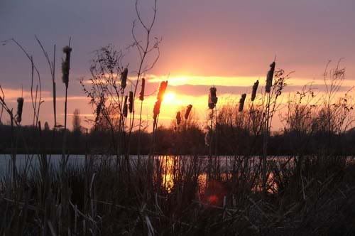 Sunrise/down from some of my fishing trips Brasenosesundown