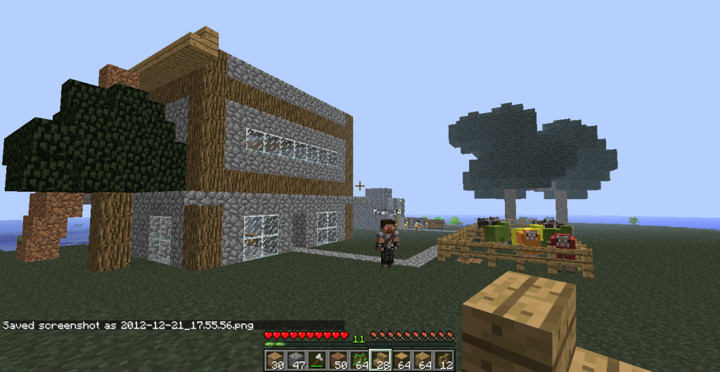 Frex_Ceafus | Minecraft Photo Album 2012-12-21_175602