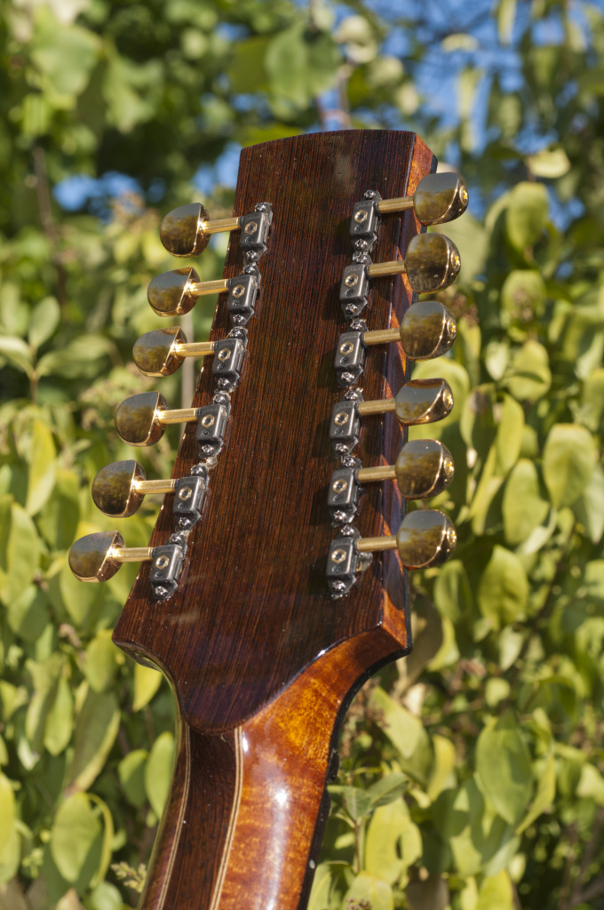 Braço novo de uma guitarra acústica de 12 cordas - Página 3 _DSC0222