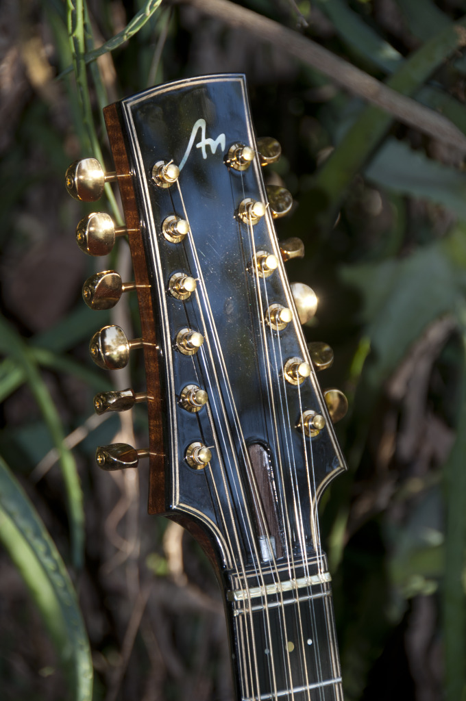 Braço novo de uma guitarra acústica de 12 cordas - Página 3 _DSC0233