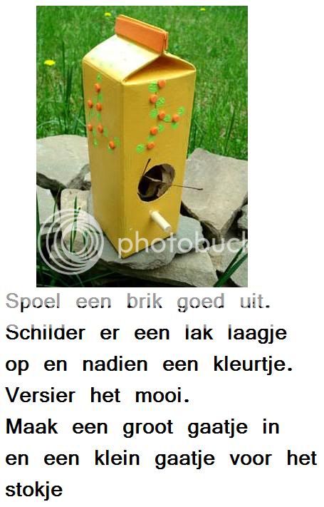 vogelhuisje  Birdhouse_A