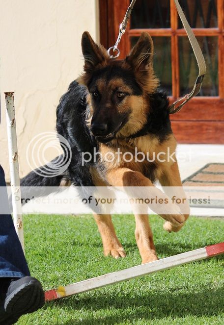 Axel and Lequita @ training. Axel2-2