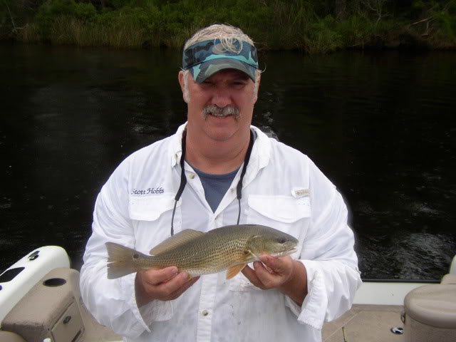 Neuse River Reds Neusereds2010