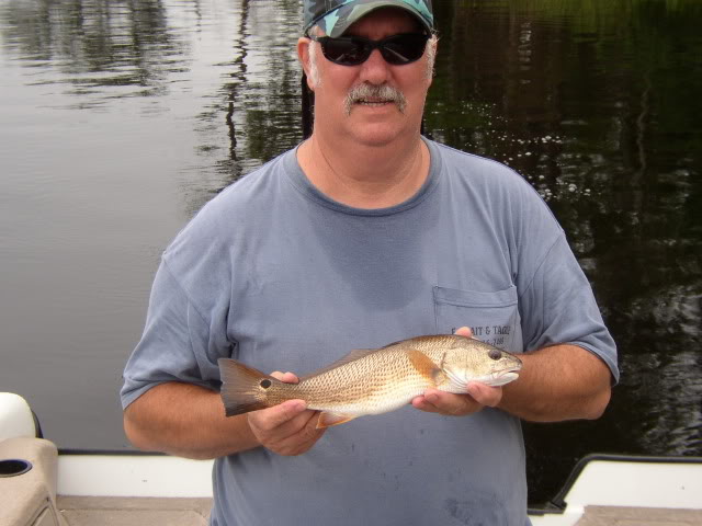 Neuse River Reds Neusereds2011