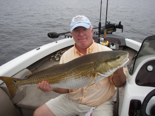 Neuse River Reds Neusereds2013