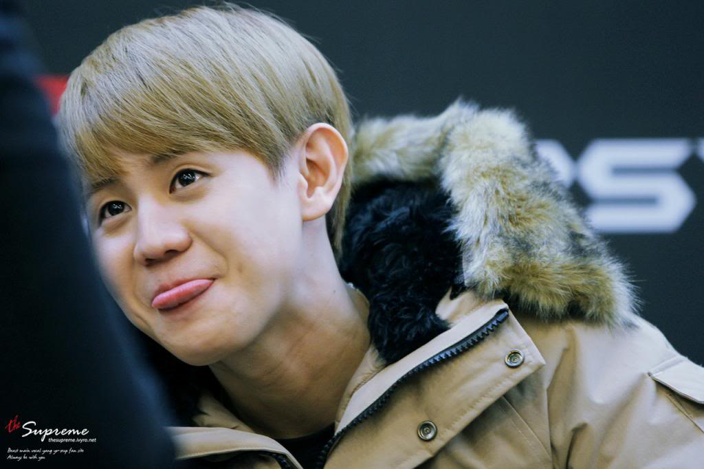 [PICS+GIFS] [27.11.12] Yoseob @ Diesel Fan Signing  Tumblr_me5eryxQ3K1rq0dcro2_1280