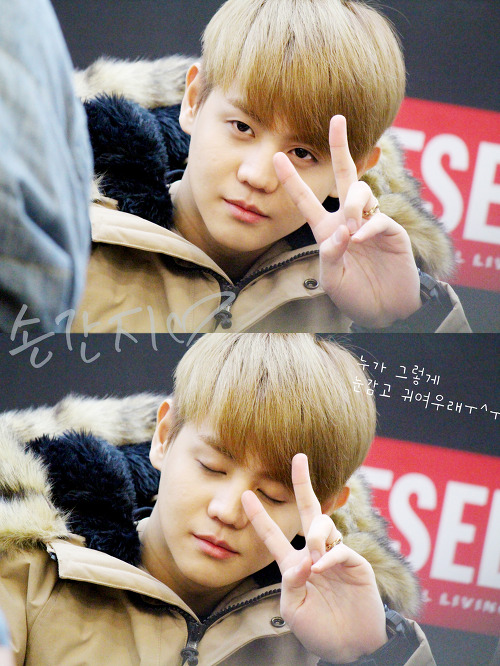 [PICS+GIFS] [27.11.12] Yoseob @ Diesel Fan Signing  Tumblr_me5f8xIlv21rq0dcro1_500