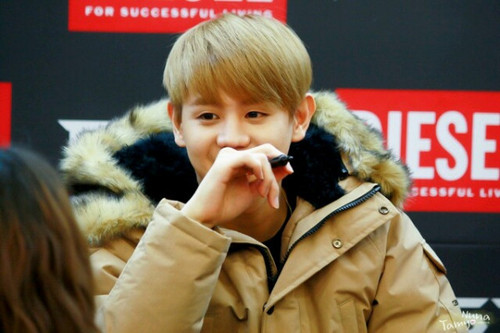 [PICS+GIFS] [27.11.12] Yoseob @ Diesel Fan Signing  Tumblr_me5f9uhuNa1rq0dcro4_500