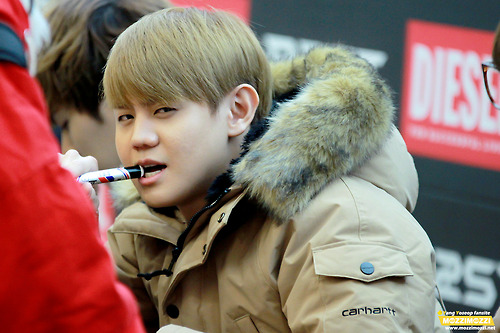 [PICS+GIFS] [27.11.12] Yoseob @ Diesel Fan Signing  Tumblr_me5hjc67iI1rq0dcro2_500