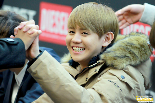 [PICS+GIFS] [27.11.12] Yoseob @ Diesel Fan Signing  Tumblr_me5hk6sqIB1rq0dcro1_500