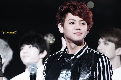 [PICS] [11.05.13] Yoseob @ Dream Concert 2013 Tumblr_mmofs6MsY31qcu2hyo1_500_zps86f030f9