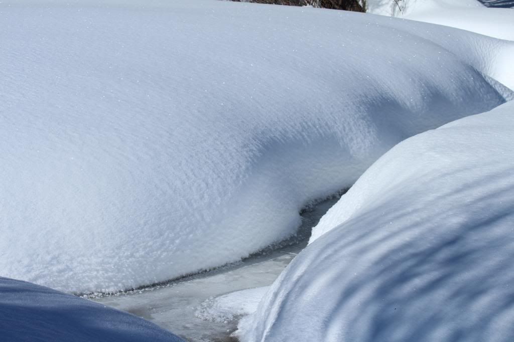 Pics from today's snowshoe hike (Keith... taken with the Canon) IMG_2381_zps8a748c73