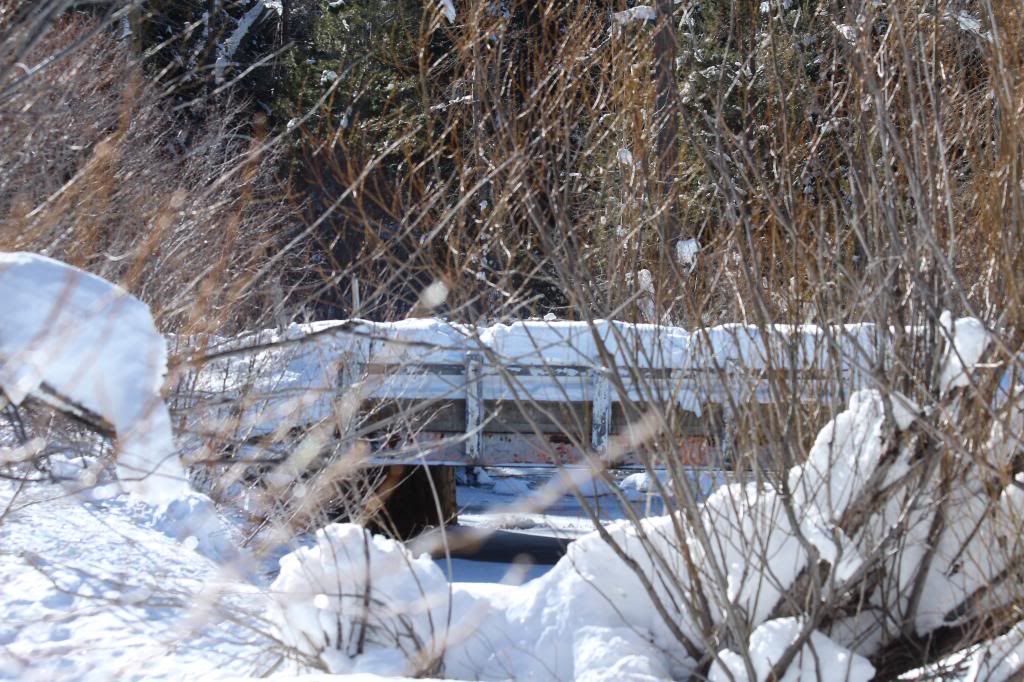 Pics from today's snowshoe hike (Keith... taken with the Canon) IMG_2399_zpsa70bc65f