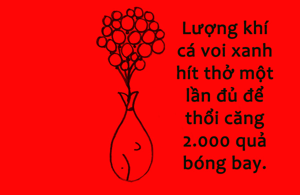 "Giật mình" với sự thật đơn giản nhưng bất ngờ quanh ta 111213kpfunfacts10