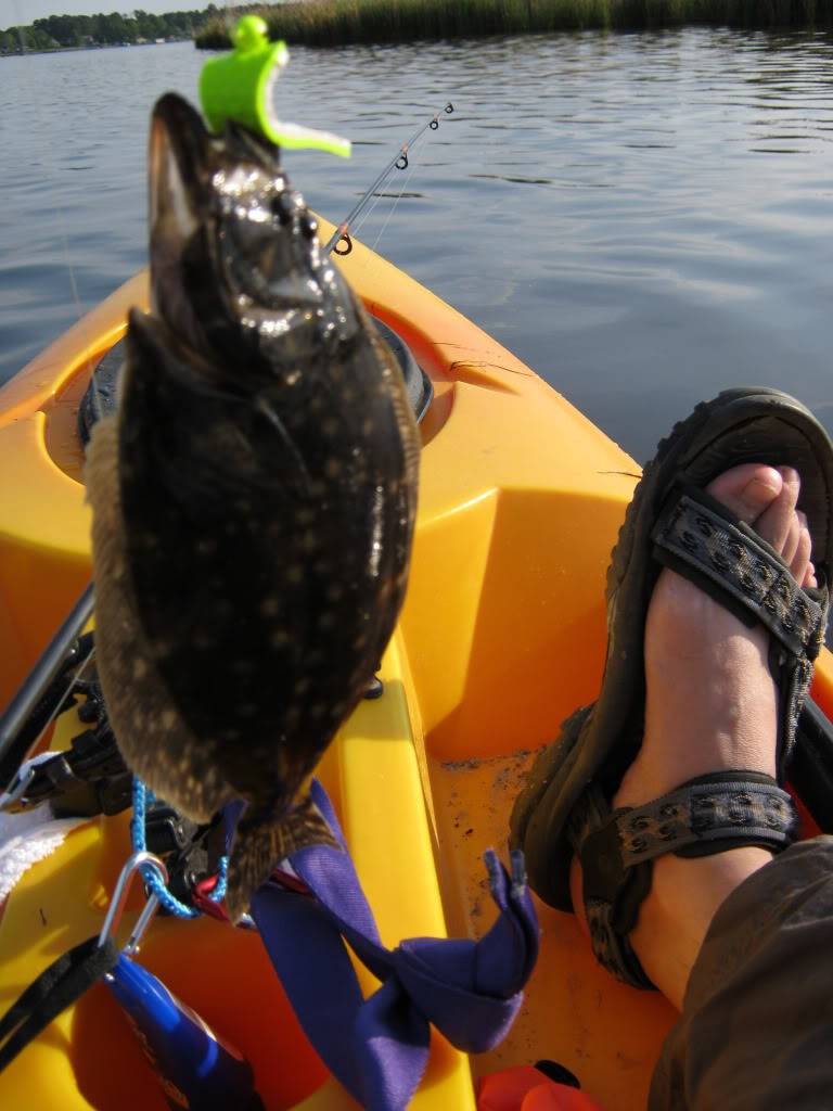 Finally catching some saltwater fish! May1011Flounder