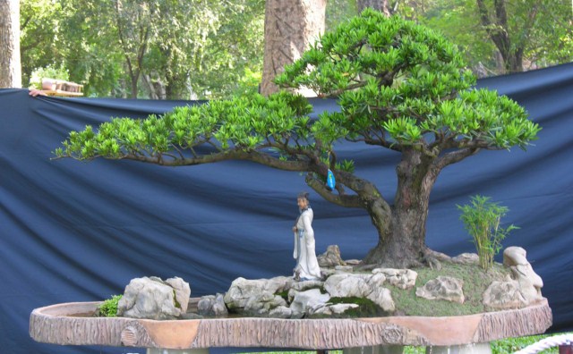 Bonsai Lanscaping exhibition at Spring Flower Festival (Viet Nam) L1