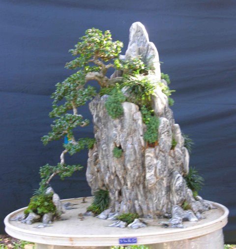 Bonsai Lanscaping exhibition at Spring Flower Festival (Viet Nam) L12