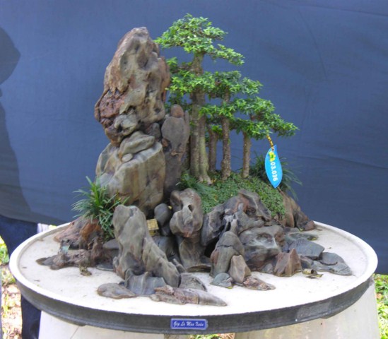 Bonsai Lanscaping exhibition at Spring Flower Festival (Viet Nam) L13