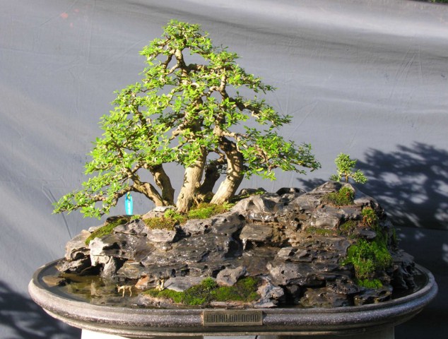 Bonsai Lanscaping exhibition at Spring Flower Festival (Viet Nam) L19