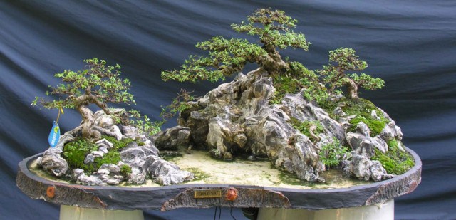 Bonsai Lanscaping exhibition at Spring Flower Festival (Viet Nam) L32