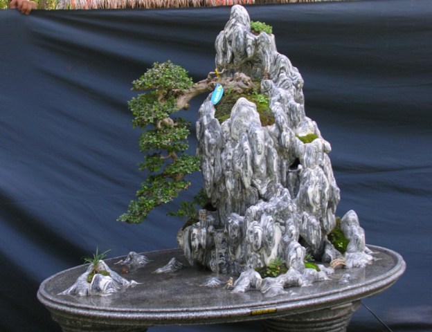 Bonsai Lanscaping exhibition at Spring Flower Festival (Viet Nam) L37