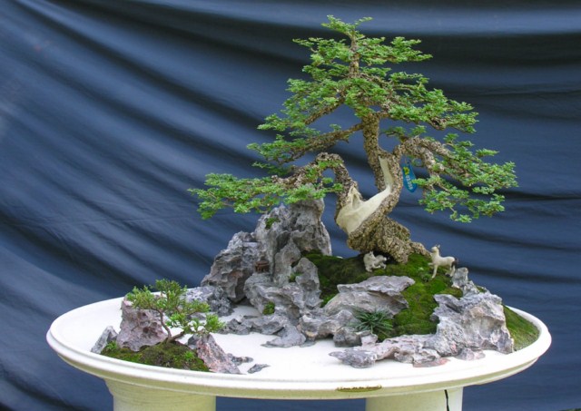 Bonsai Lanscaping exhibition at Spring Flower Festival (Viet Nam) L38