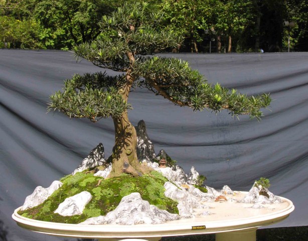 Bonsai Lanscaping exhibition at Spring Flower Festival (Viet Nam) L42