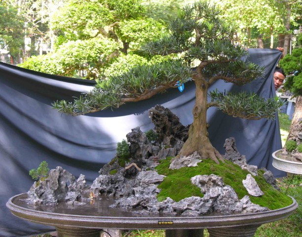 Bonsai Lanscaping exhibition at Spring Flower Festival (Viet Nam) L44