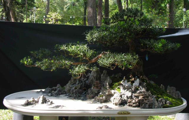 Bonsai Lanscaping exhibition at Spring Flower Festival (Viet Nam) L46