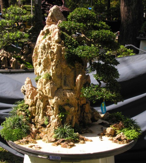 Bonsai Lanscaping exhibition at Spring Flower Festival (Viet Nam) L53