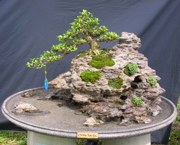 Bonsai Lanscaping exhibition at Spring Flower Festival (Viet Nam) L56