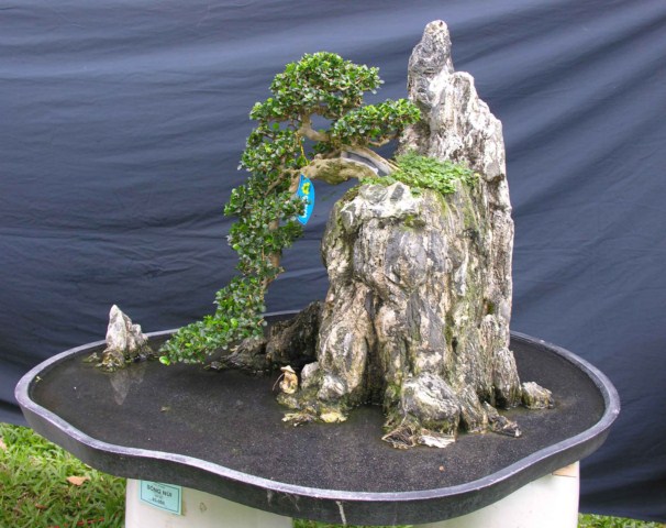 Bonsai Lanscaping exhibition at Spring Flower Festival (Viet Nam) L57