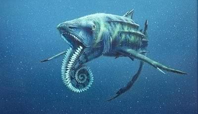 8 Ikan Hiu Teraneh Dan Terunik Ikan-Hiu-Fosil-purba-Whorl-tooth-Shark-Helicoprion