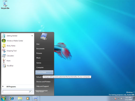 Windows Update - Disable Automatic Updates in Windows 7 1xx