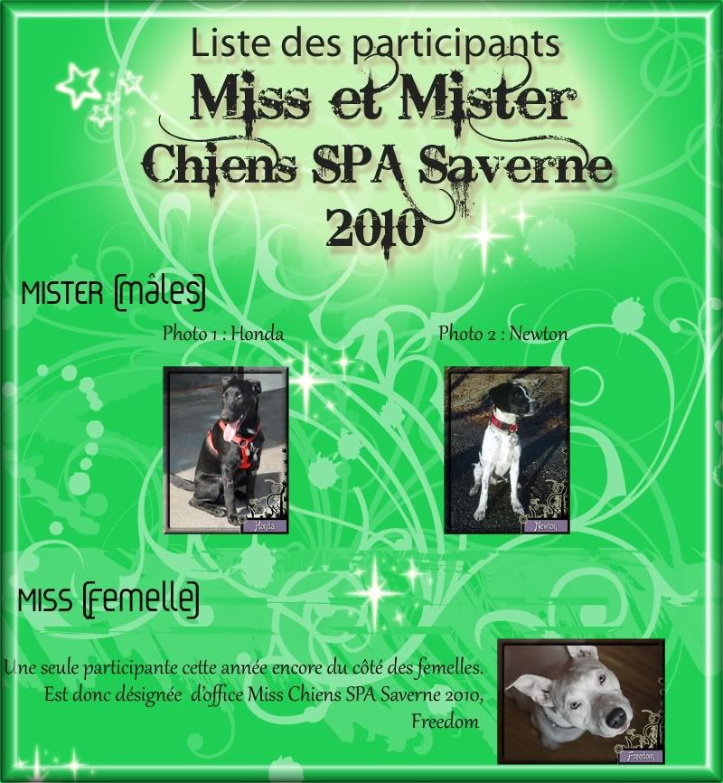 Concours MISS et MISTER - CHIENS SPA 2010 ListeMisterSPA-1