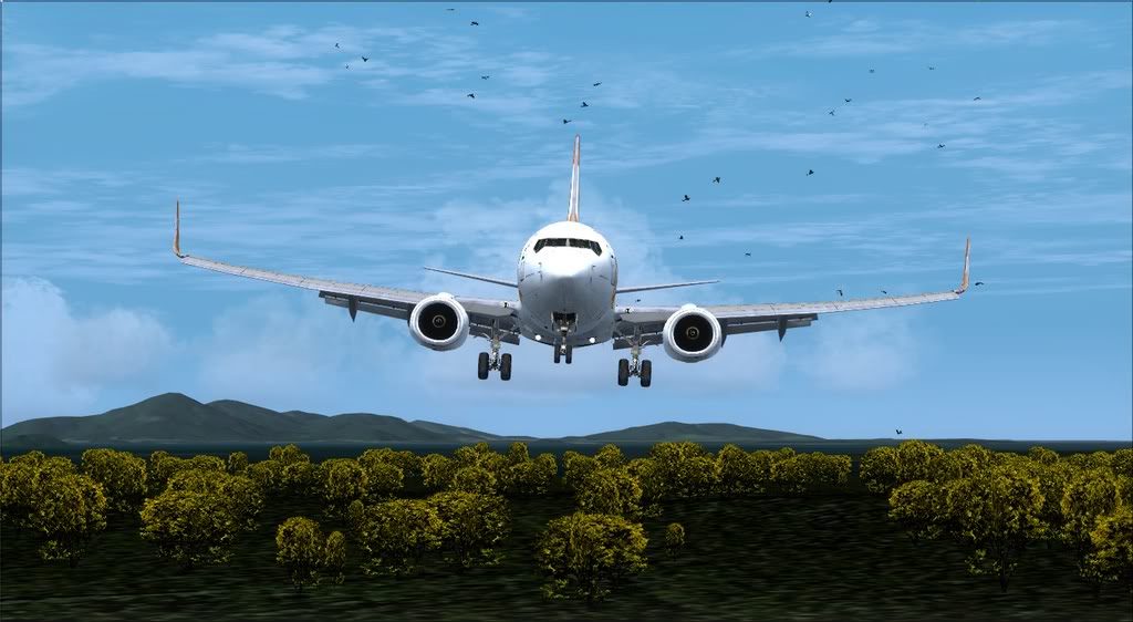 SBGR - SBJV - 737 Gol Fsx2012-03-2500-44-58-67