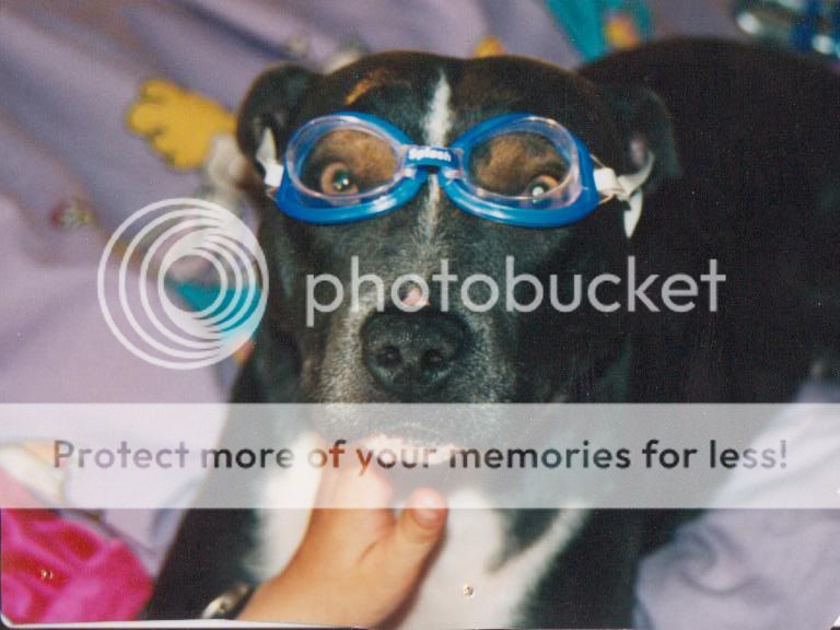 more photos of my girl jazz xx Jazzwearinggoggles001