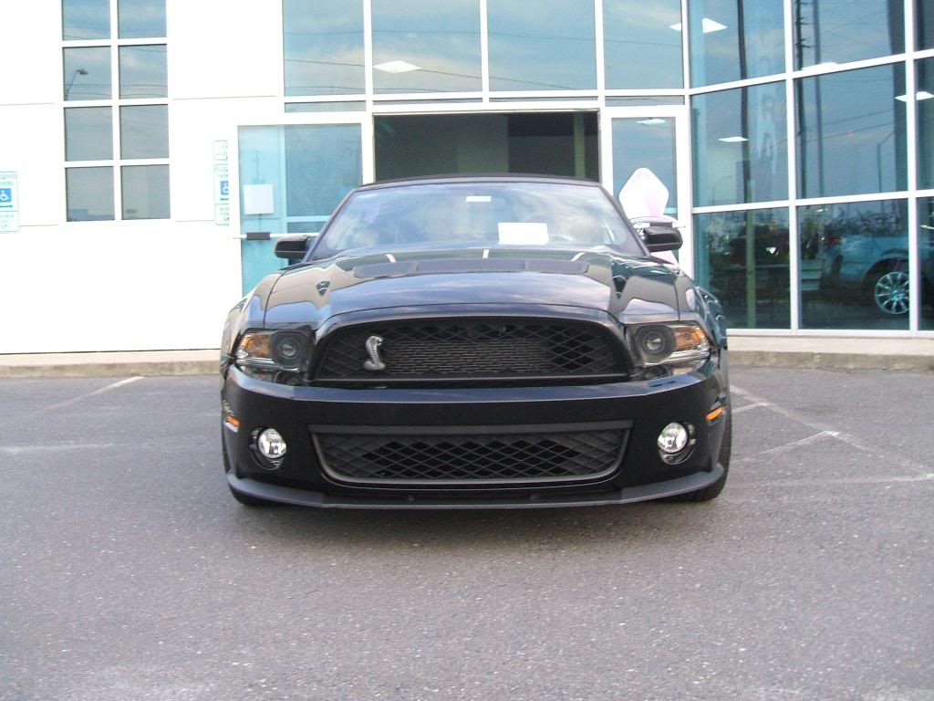 MEET THE 200MPH FORD MUSTANG SHELBY GT500 DSCF9464