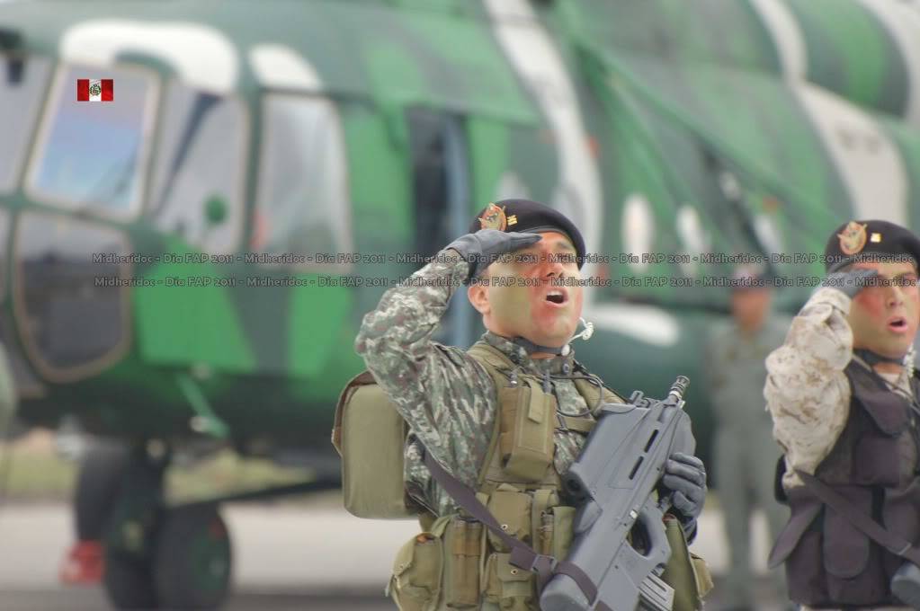 Fuerzas Armadas del Peru - Página 9 DiaFAP2011-foto42