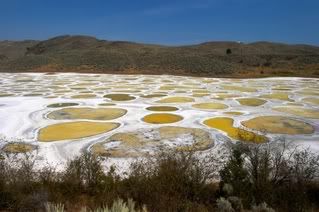 The Spotted Lake 1595504737_ee3cad8786_o